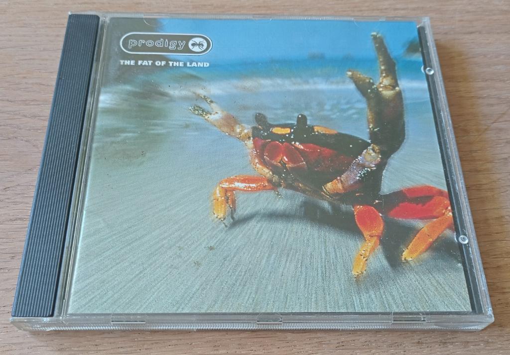 Cd Prodigy - Fat of the land, Ophalen of Verzenden, 2000 - 2009, Gebruikt