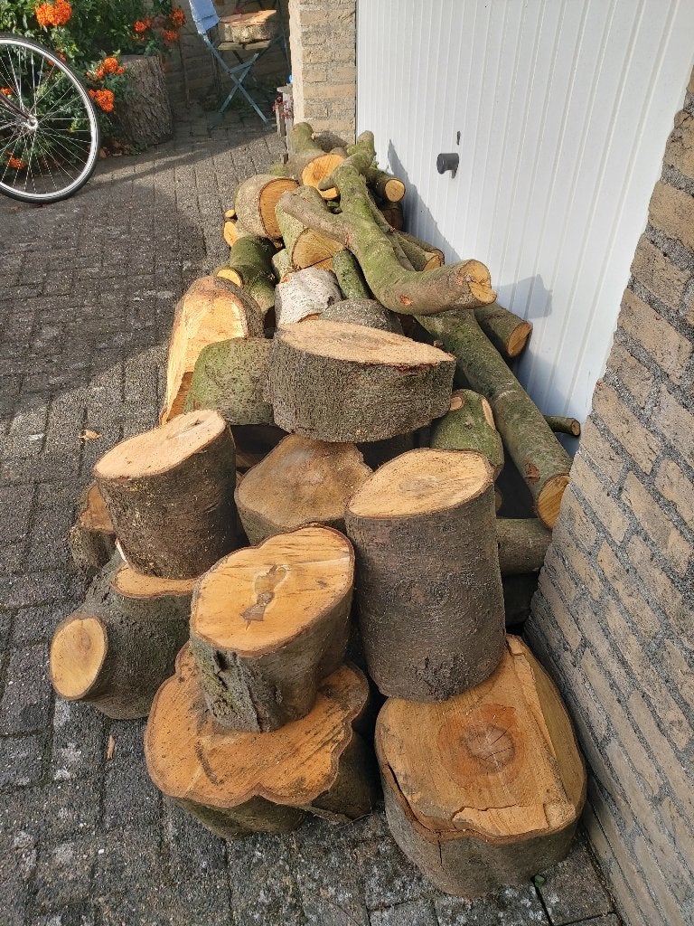 Laurierkers hout, voor brandhout, Ophalen, Bloeit niet, Halfschaduw, Overige soorten
