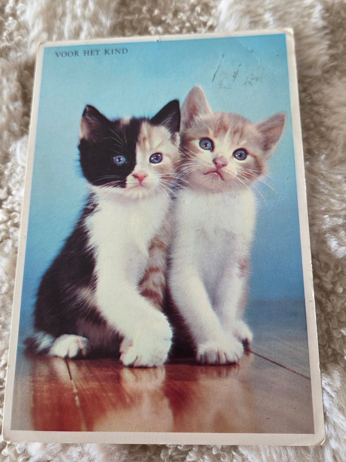 Vintage Ansichtkaart: Twee Schattige Katjes - Voor Het Kind, Verzamelen, Verzenden, 1960 tot 1980, Gelopen, Hond of Kat