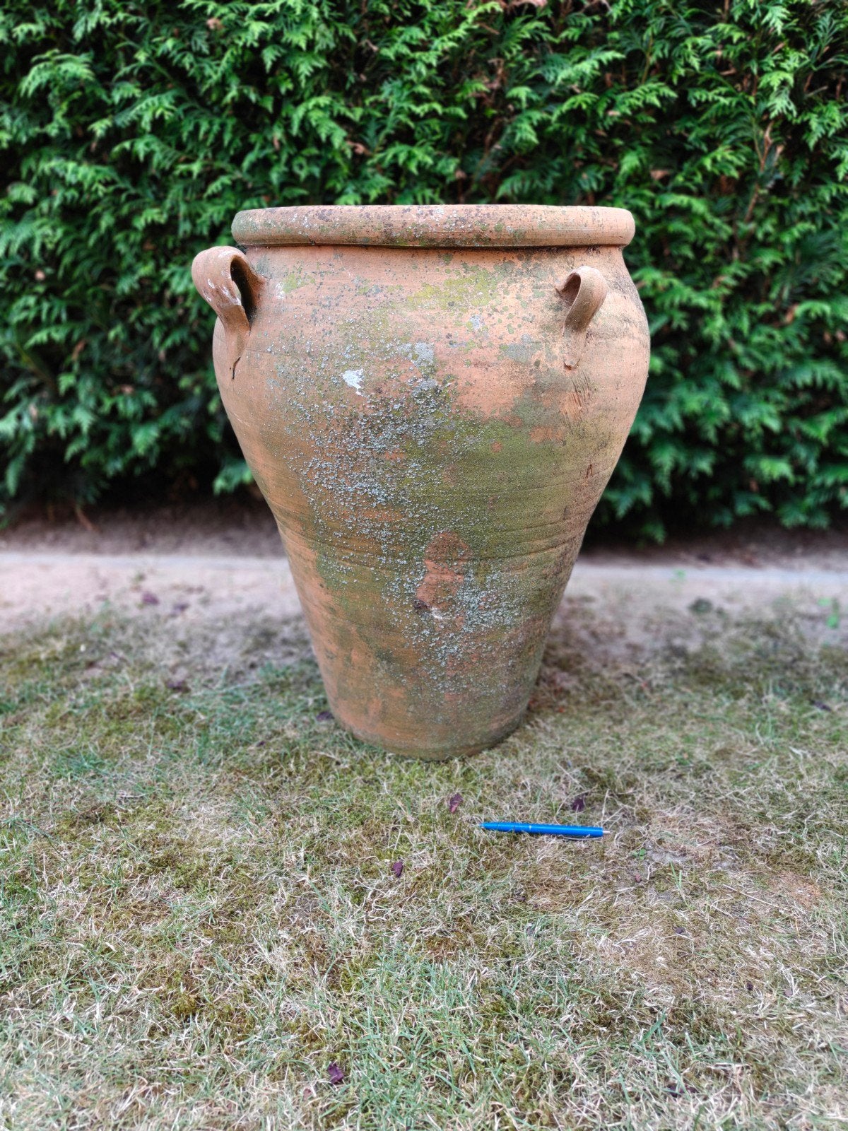 Prachtige hoge terracotta pot met 4 oren, Ophalen, Rond, 40 cm of meer