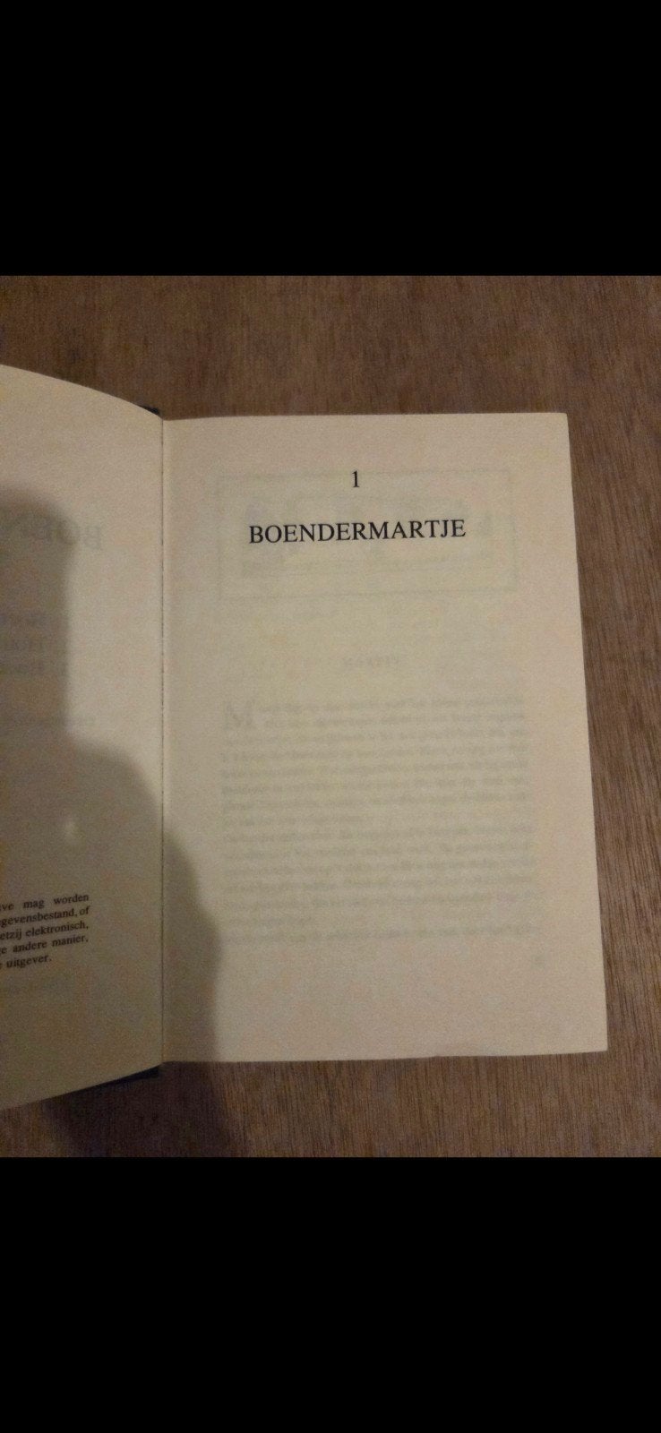 Netty Streef - Boendermartje, Ophalen of Verzenden, Gelezen, Netty Streef