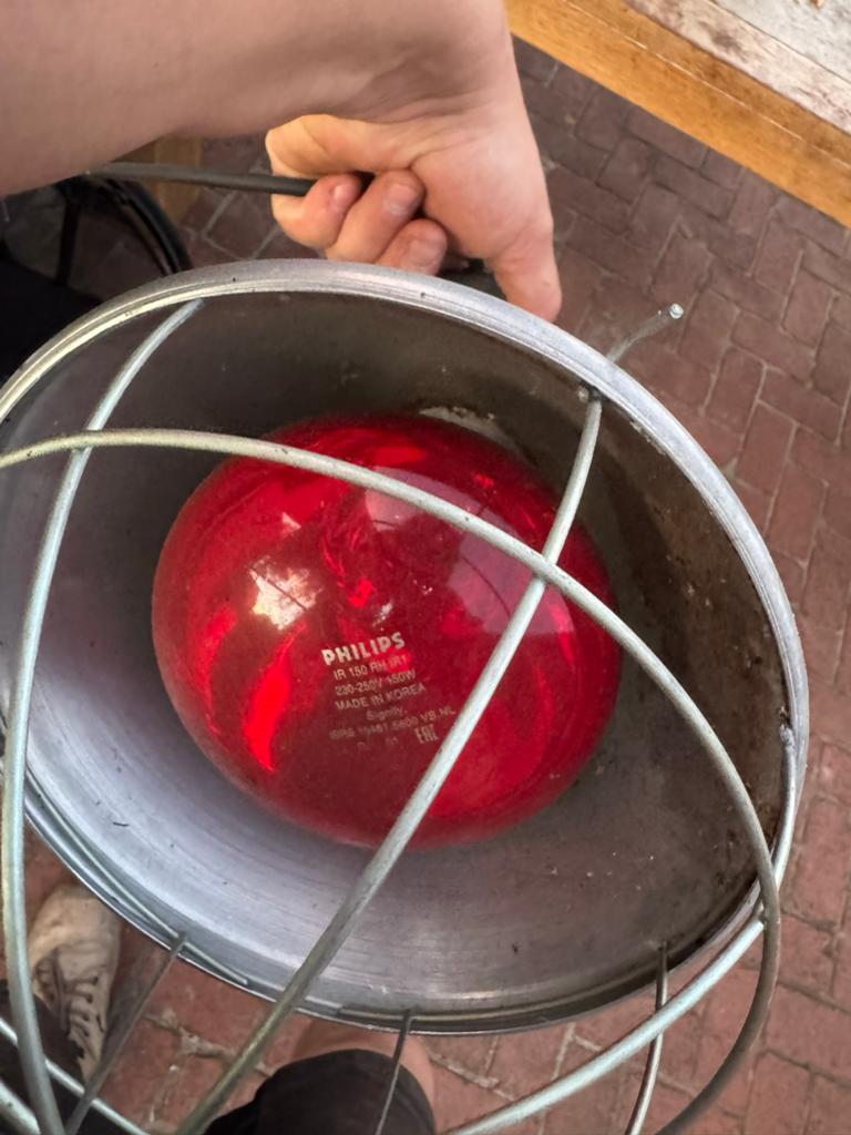 Warmtelamp gebruikt, Ophalen, Gebruikt