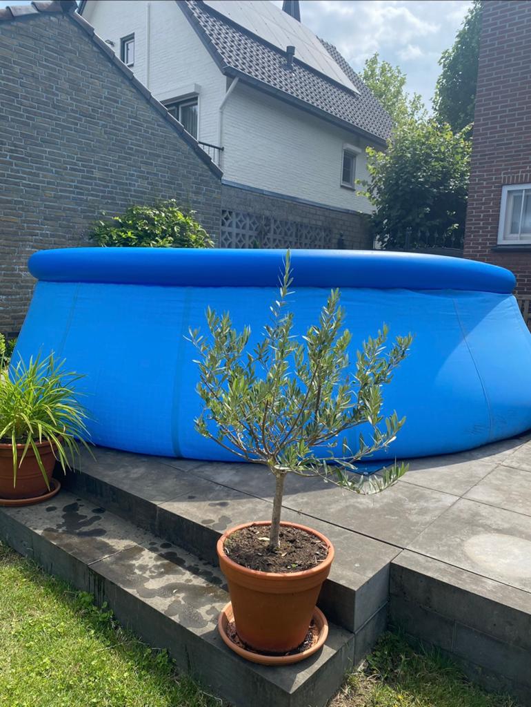 Zwembad Intex Easy Set / opblaaszwembad, Tuin en Terras, Zwembaden, Gebruikt, Rond, 300 cm of meer, Ophalen