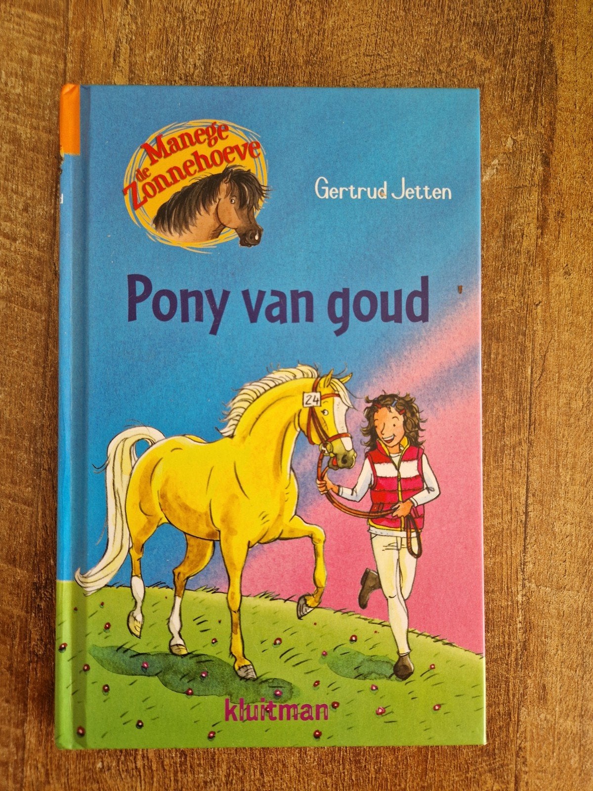 Boek: pony van goud, Ophalen of Verzenden, Zo goed als nieuw, Gertrud Jetten, Fictie algemeen