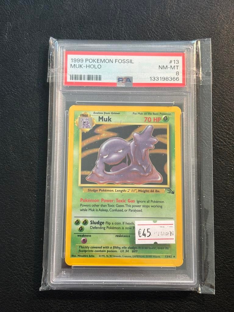 Muk holo - Fossil 13/62 (PSA 8), Ophalen of Verzenden, Zo goed als nieuw