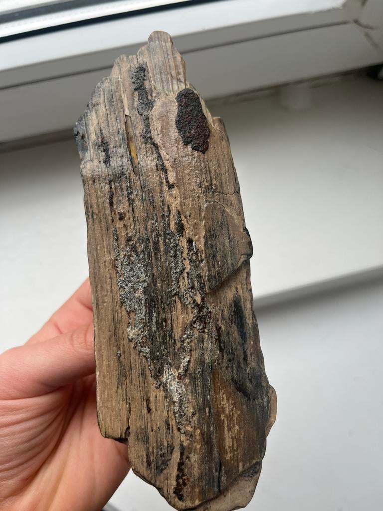 Mooi stukje mammoet slagtand, Verzamelen, Mineralen en Fossielen, Ophalen of Verzenden, Fossiel