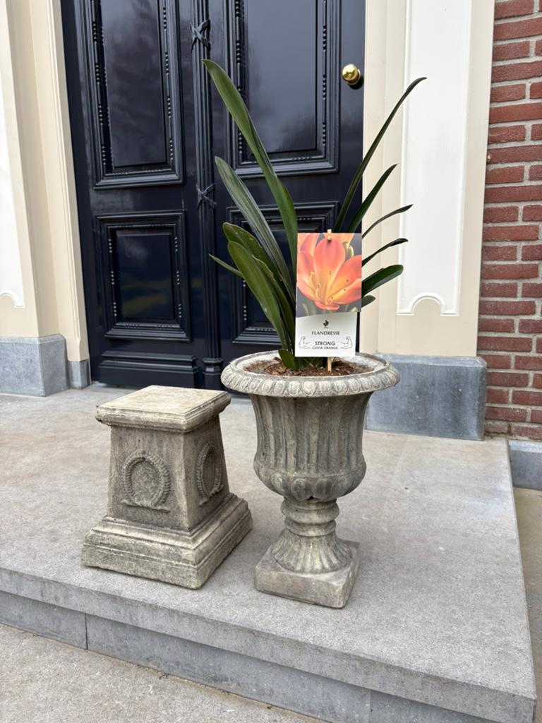 Tuinvaas met sokkel, Ophalen of Verzenden, Zo goed als nieuw, Rond
