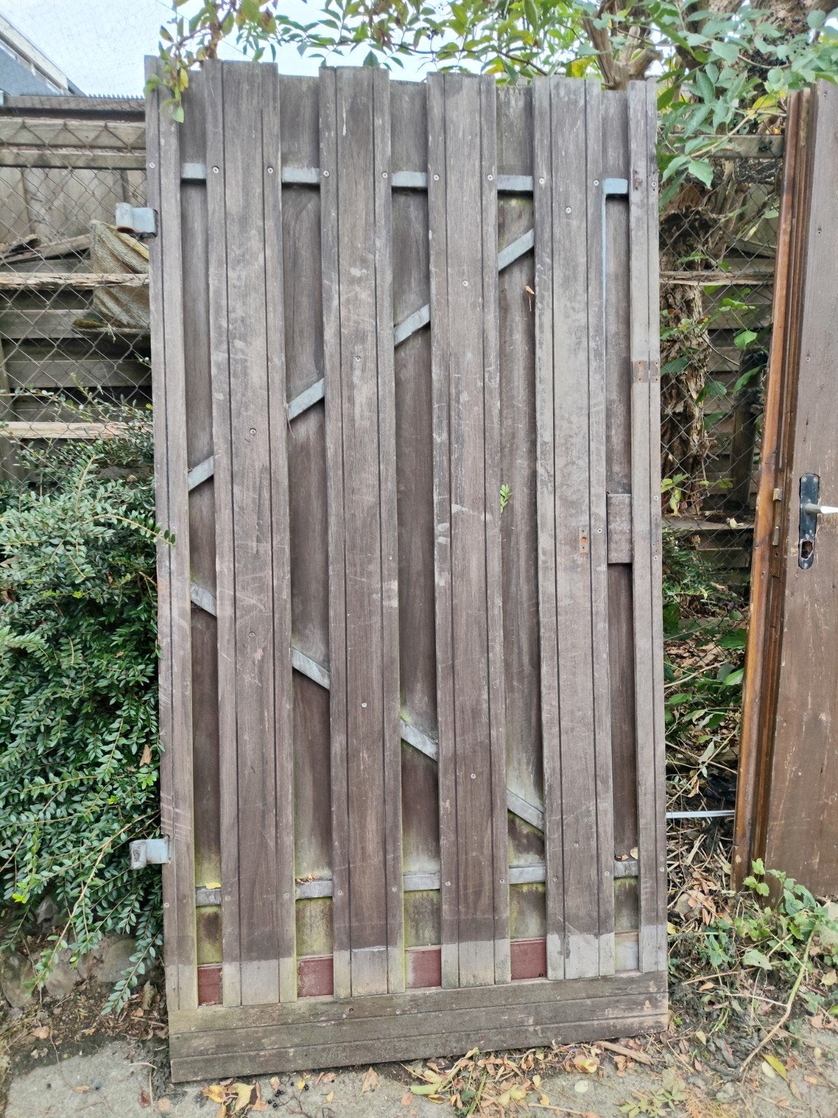 tuindeur hardhout, Tuin en Terras, Ophalen, Minder dan 3 meter, Hout, 1 tot 2 meter