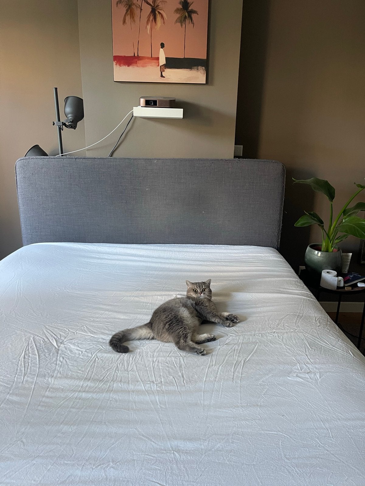 IKEA Boxspring 180x200 incl. matras & hoofdbord, Ophalen, Gebruikt, Tweepersoons, 180 cm