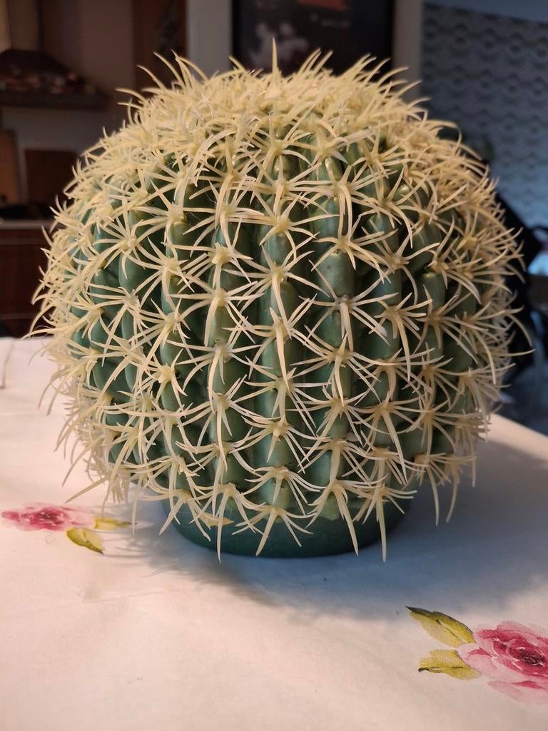 Cactus van kunststof, Huis en Inrichting, Woonaccessoires | Kransen, Ophalen of Verzenden, Zo goed als nieuw