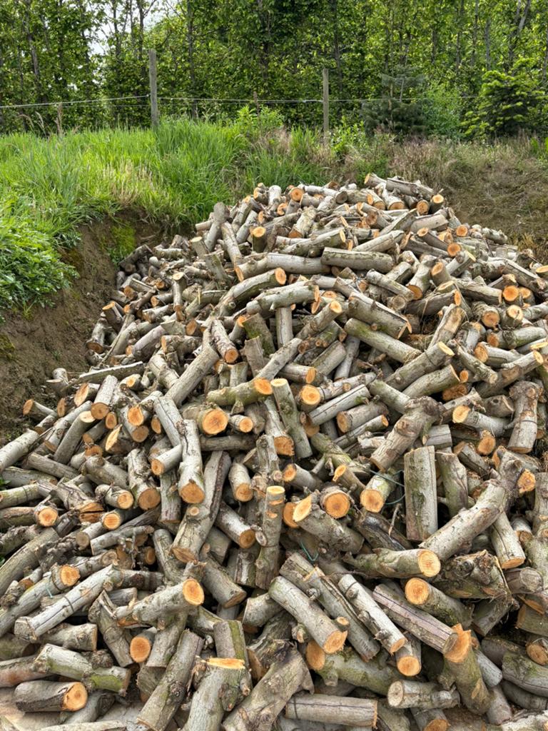 Brandhout, Tuin en Terras, Haardhout, 6 m³ of meer, Ophalen