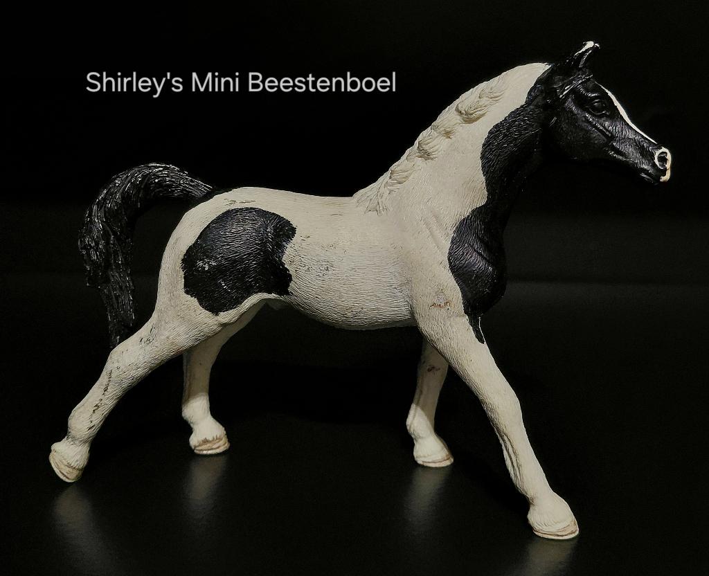 schleich pinto arabier hengst, Ophalen of Verzenden, Gebruikt, Paard, Beeldje of Figuurtje