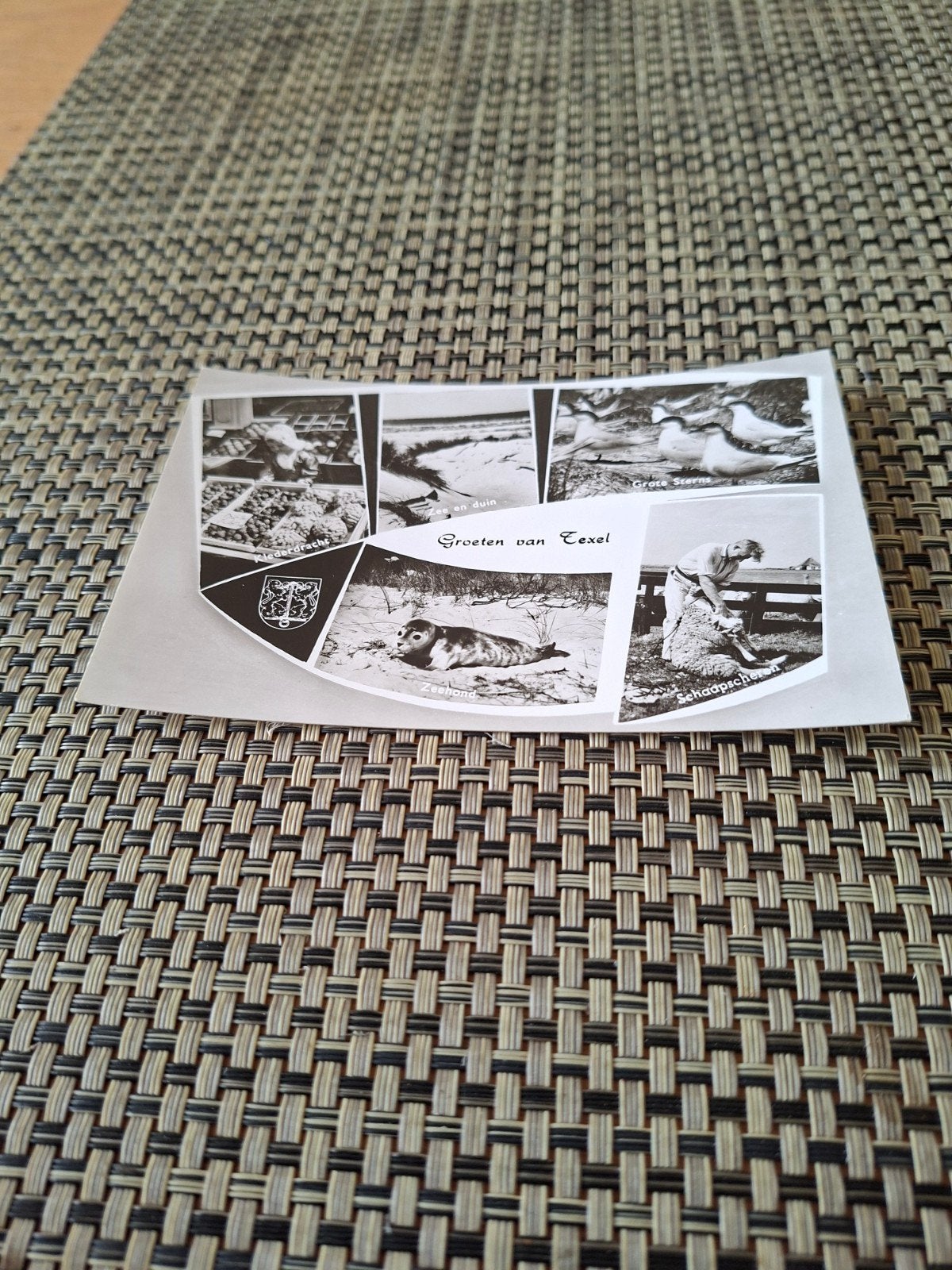 Groeten van Texel - Vintage Ansichtkaart, Ophalen of Verzenden, 1960 tot 1980, Ongelopen, Waddeneilanden