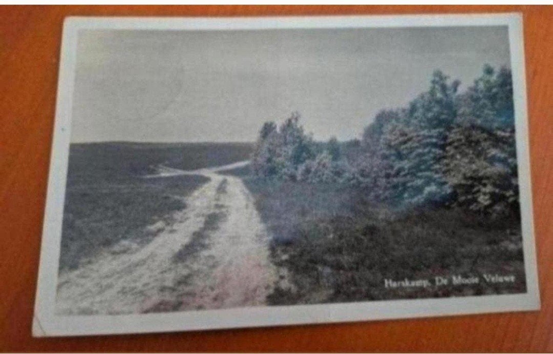 Oude Ansichtkaart Harskamp, De Mooie Veluwe, Ophalen of Verzenden, Voor 1920, Gelopen, Gelderland