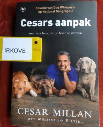 CESAR'S AANPAK * Cesar Millan *, Boeken, Dieren en Huisdieren, Verzenden, Zo goed als nieuw, Honden, Cesar Millan
