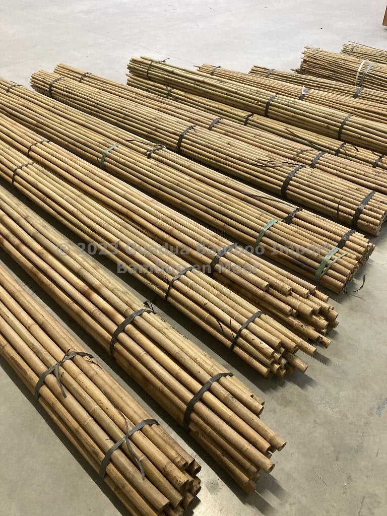 Tonkinstokken bamboestokken bamboe boomsteun plantensteun, Ophalen, Nieuw, 180 tot 250 cm, Overige typen