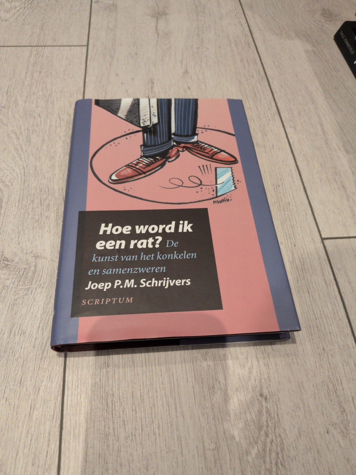 Hoe word ik een rat? - Joep P.M. Schrijvers, Ophalen of Verzenden, Zo goed als nieuw, Joep P.M. Schrijvers, Nederland