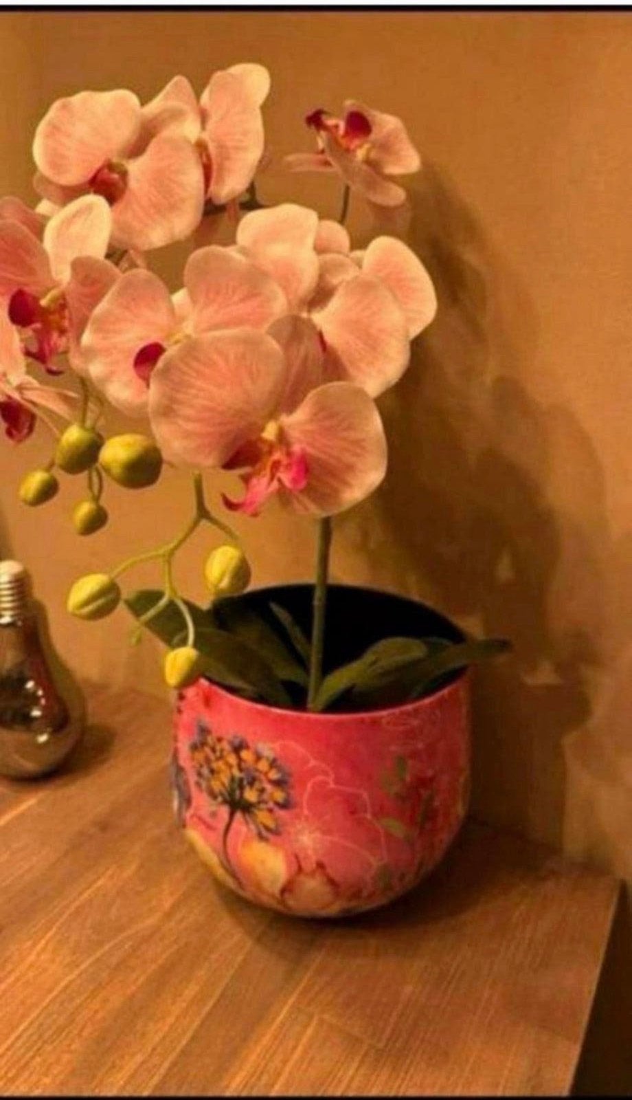 Nieuwe roze bloempot met orchidee, Huis en Inrichting, Ophalen, Nieuw