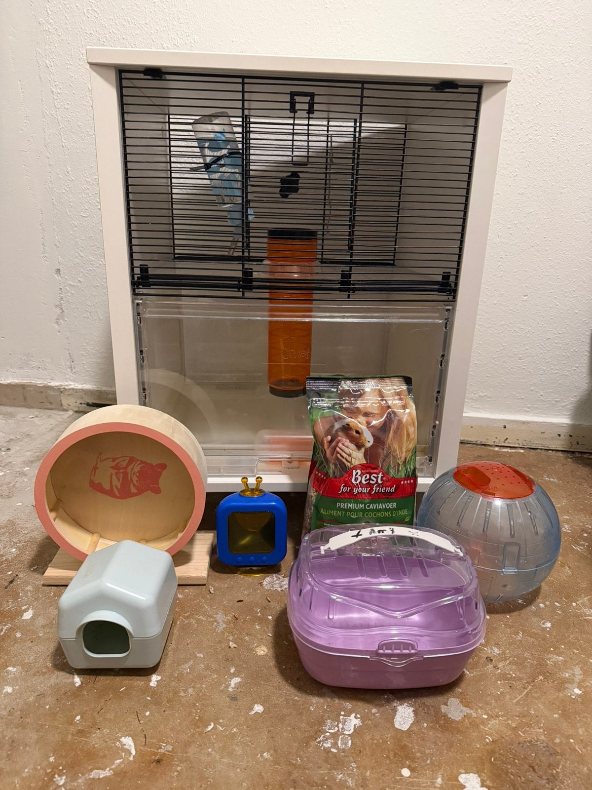 Hamster kooi met hamster, Kooi, Minder dan 75 cm, Zo goed als nieuw, Hamster