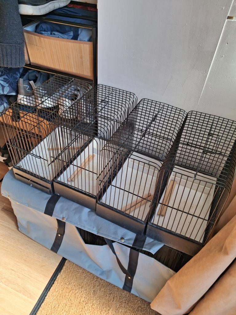 Noup kooien, Ophalen of Verzenden, Zo goed als nieuw, Hout, Vogelkooi
