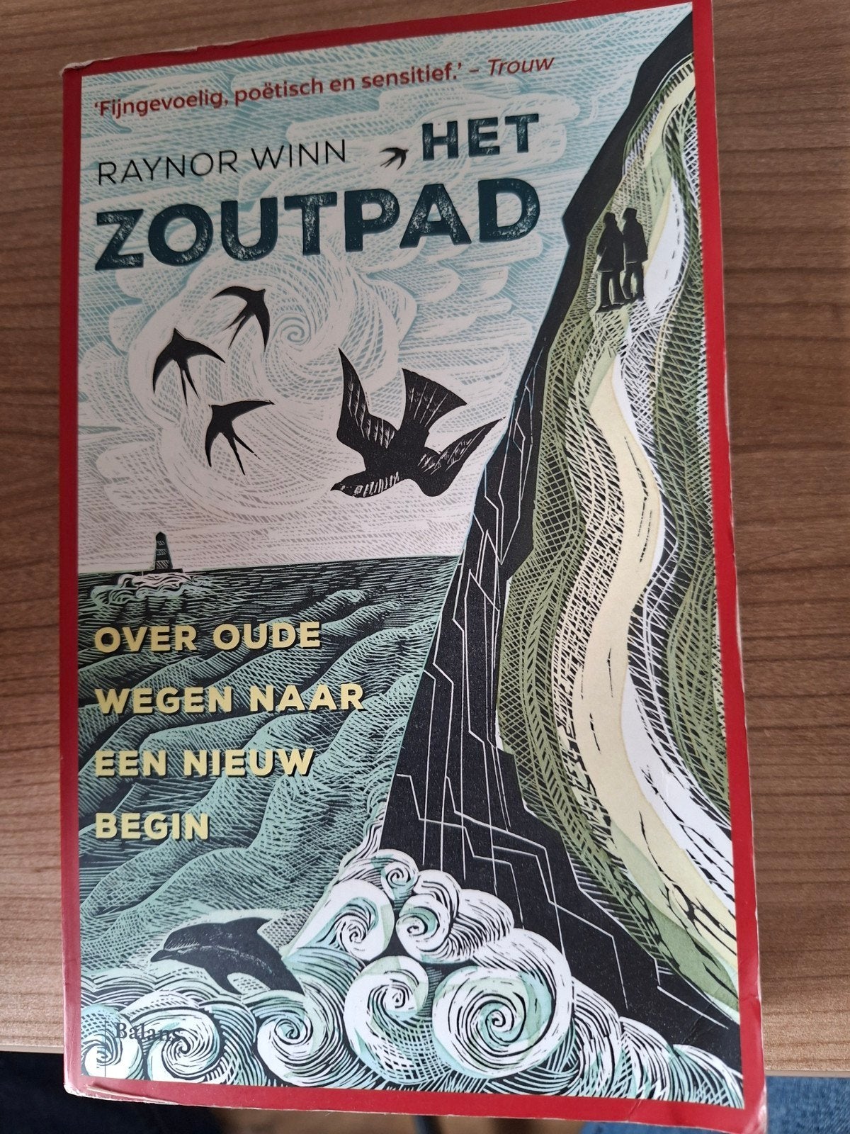 Het Zoutpad - Raynor Winn -, Boeken, Ophalen of Verzenden, Zo goed als nieuw, Raynor Winn, Nederland