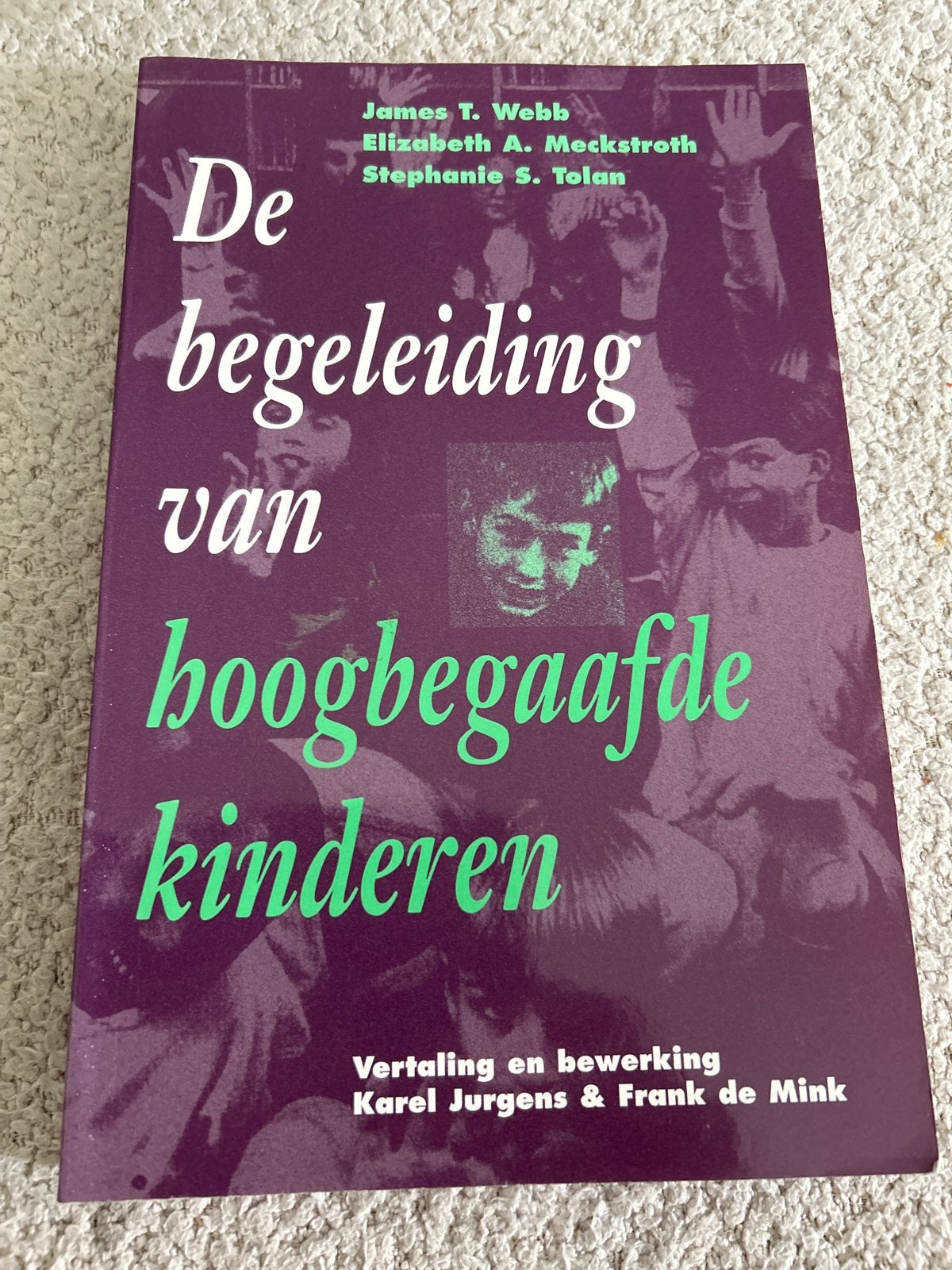 De begeleiding van hoogbegaafde kinderen, Boeken, Zwangerschap en Opvoeding, Ophalen of Verzenden, Gelezen, Opvoeding vanaf 10 jaar