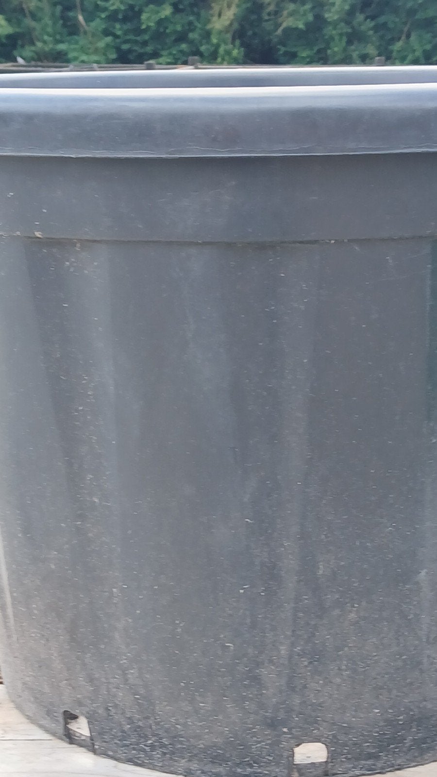 boompot 110 liter, 150 liter of meer, Ophalen, Gebruikt