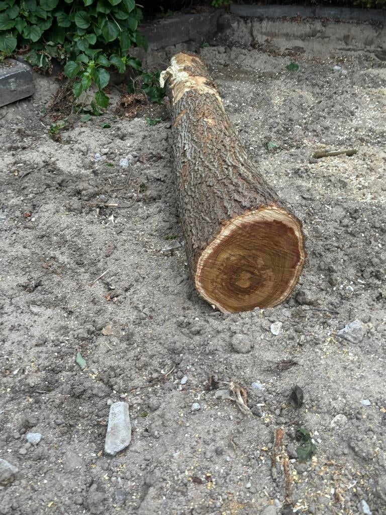 Gratis brandhout, Minder dan 3 m³, Ophalen