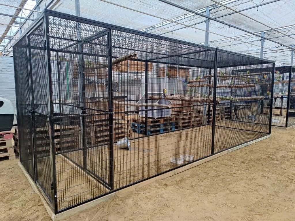 PAPEGAAIENKOOI NIEUW VOLIERE 580 CM LANG ARA, Dieren en Toebehoren, Vogels | Hokken en Kooien, Ophalen, Nieuw, Metaal, Volière