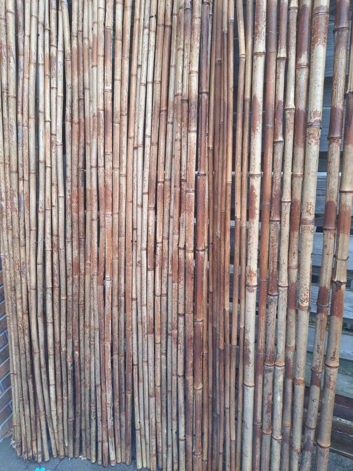 2x Bamboe schutting, Tuin en Terras, Ophalen, Overige materialen, Minder dan 3 meter, 1 tot 2 meter
