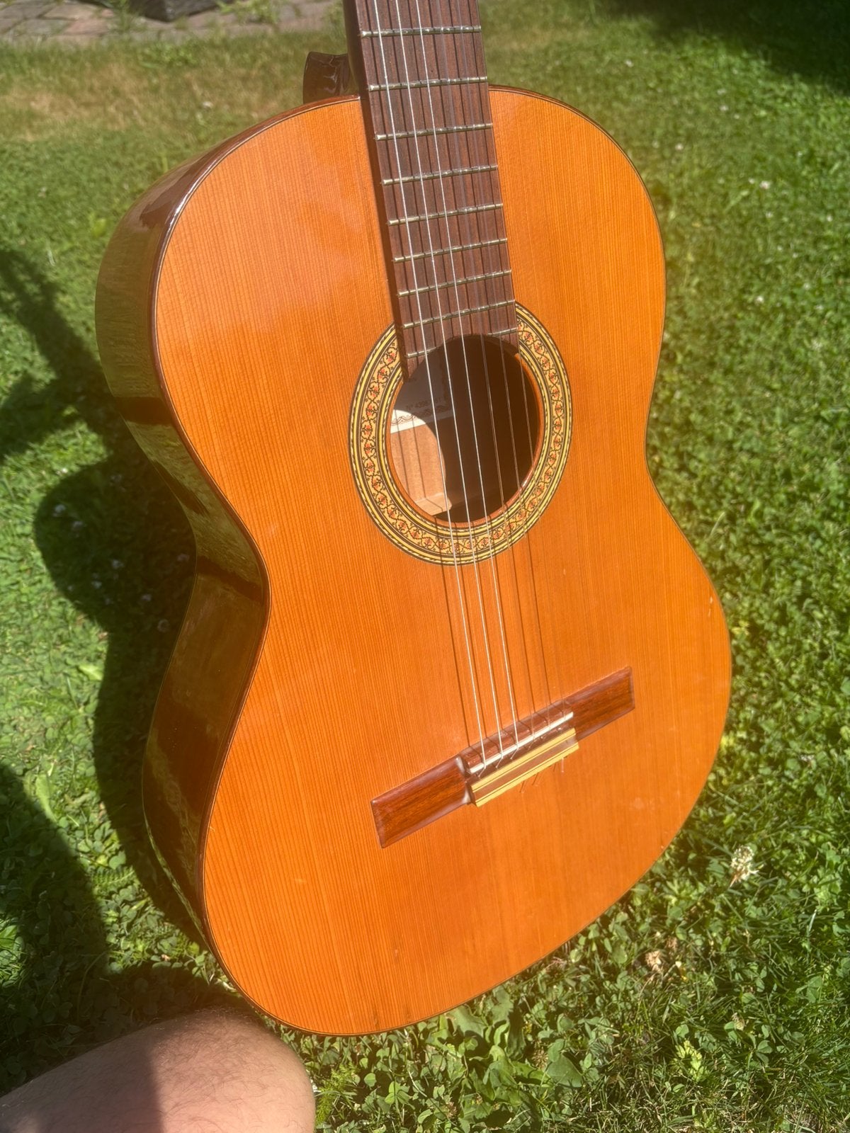 Alhambra 3c cedro met nieuwe snaren frets gepolijst, Ophalen of Verzenden, Gebruikt, Klassieke of Spaanse gitaar