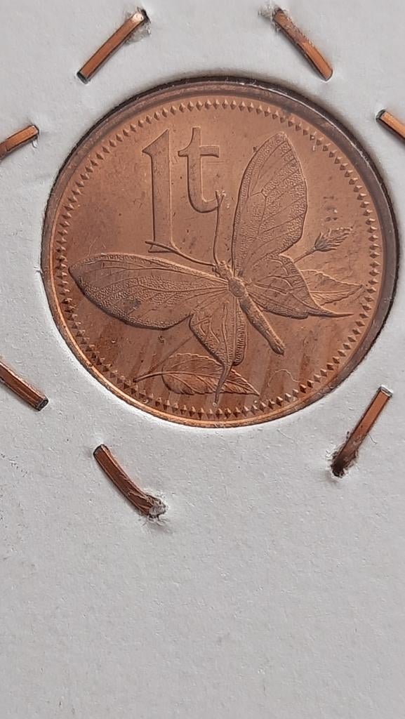 Papoea-Nieuw-Guinea 1 toea 1981 KM# 1., Postzegels en Munten, Ophalen of Verzenden, Losse munt