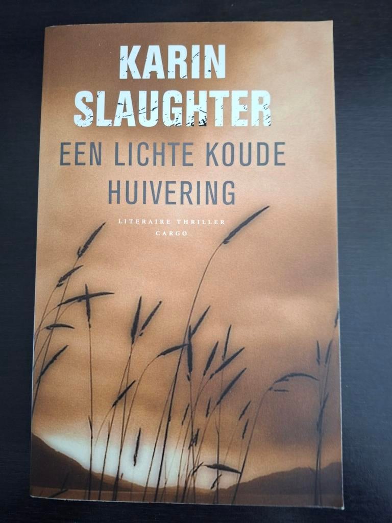 Karin Slaughter - Een Lichte Koude Huivering, Boeken, Ophalen of Verzenden, Gelezen, Karin Slaughter, Nederland
