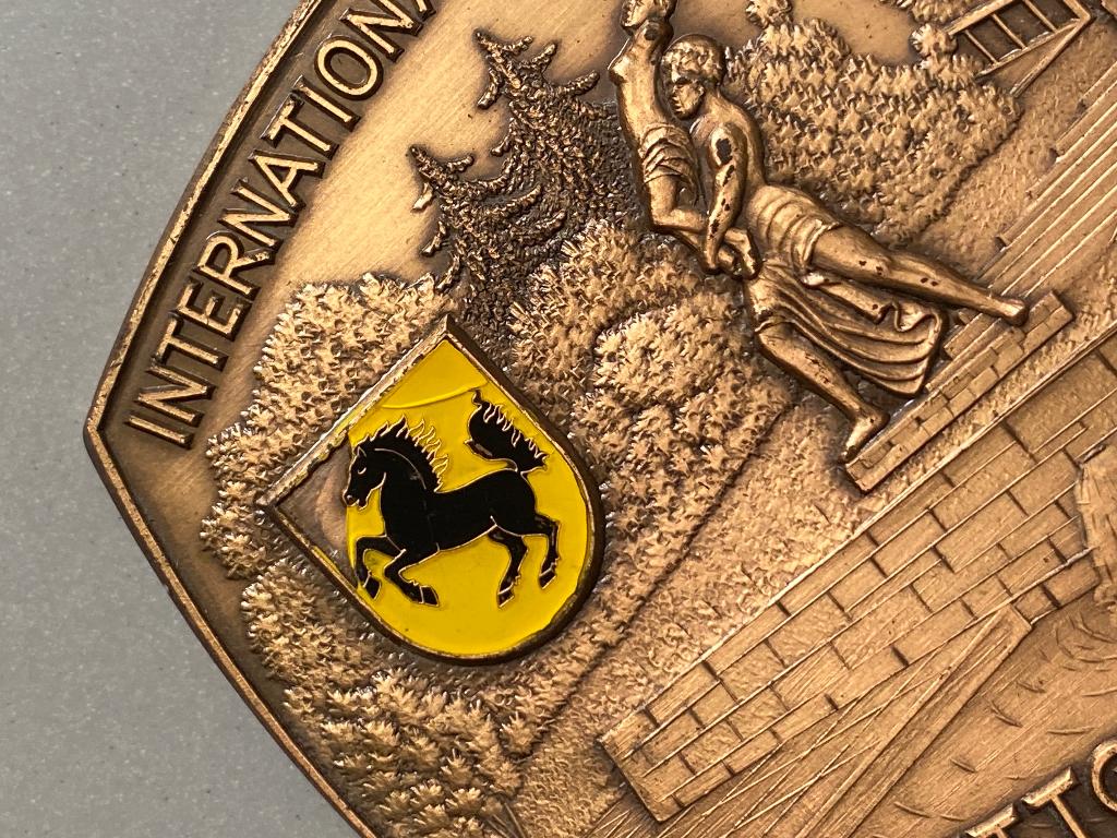 automobiel verzamelen Internationale sterrit plaquette, Ophalen of Verzenden, Brons