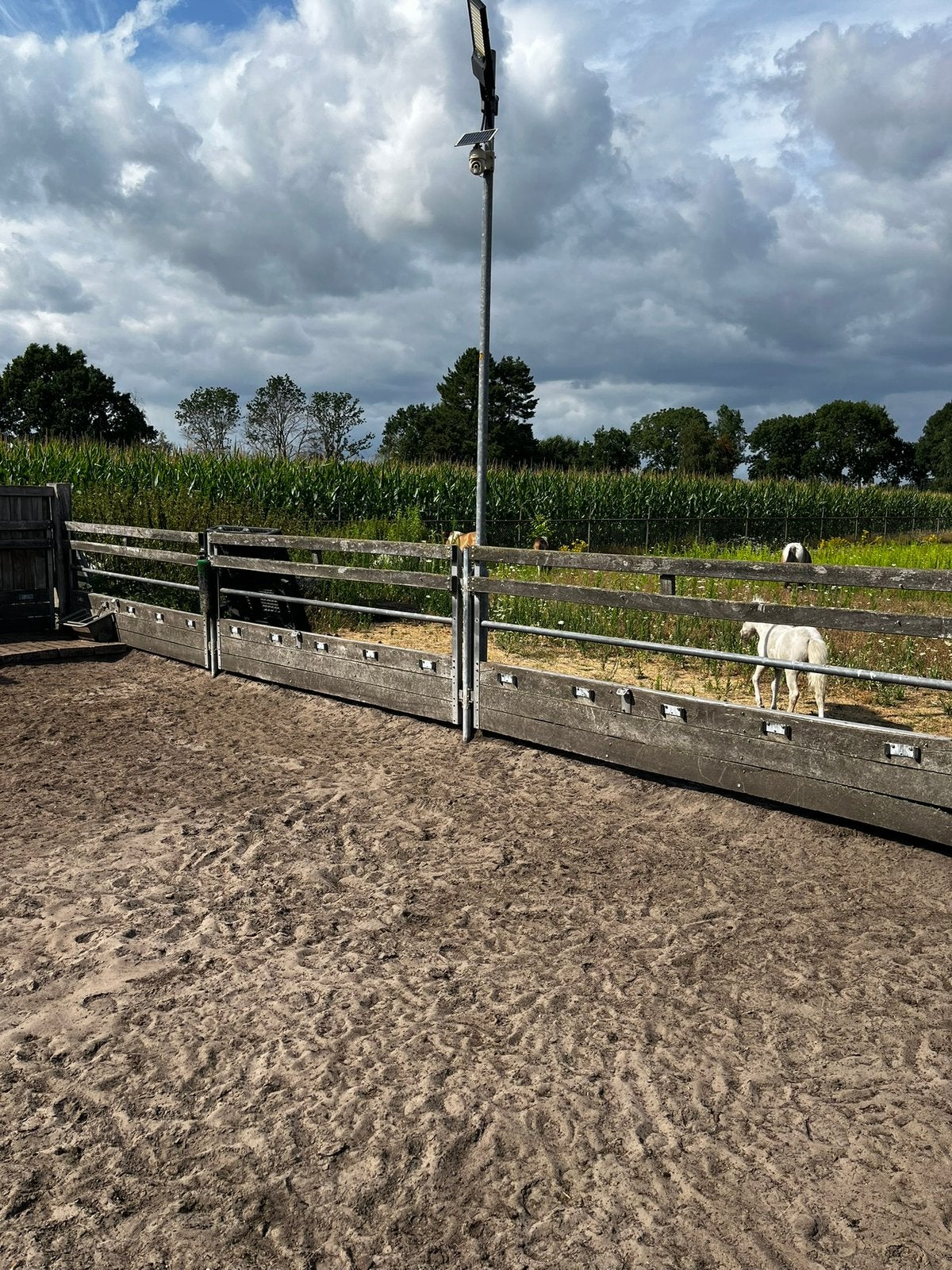 Paddock schotten hardhout, Dieren en Toebehoren