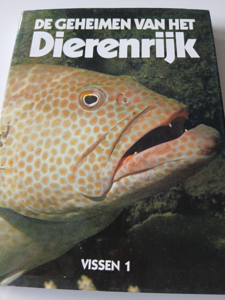 De Geheimen van het Dierenrijk - Vissen 1, Boeken, Ophalen of Verzenden, Gelezen, Overige onderwerpen, Onbekend