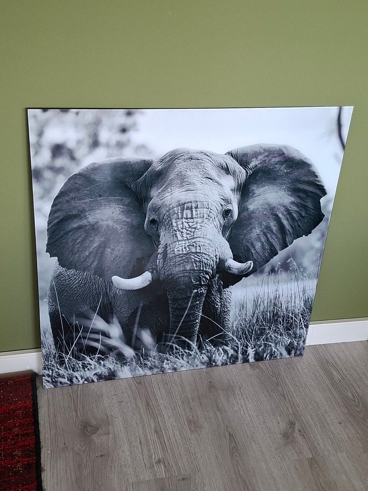 Glazen Olifant Schilderij 80x80, Ophalen, Zo goed als nieuw, Schilderij, 75 tot 100 cm