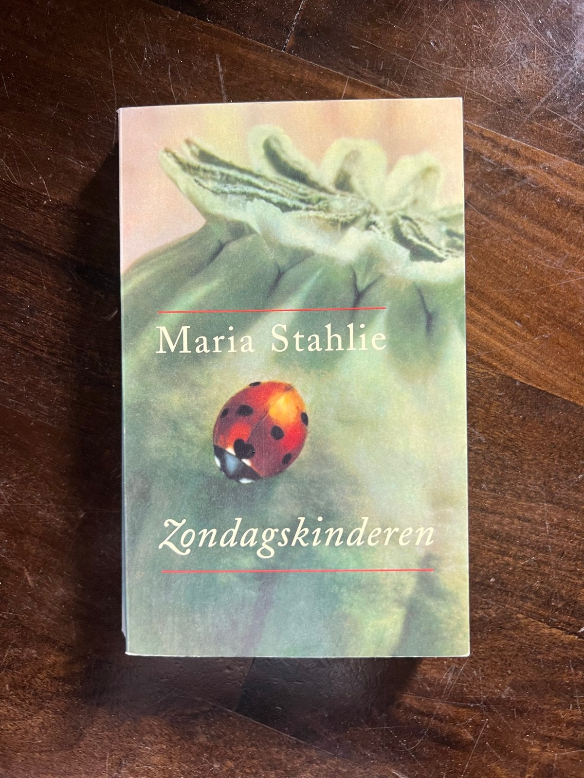 Maria Stahlie - Zondagskinderen (bundel met zes verhalen), Ophalen of Verzenden, Gelezen, Nederland