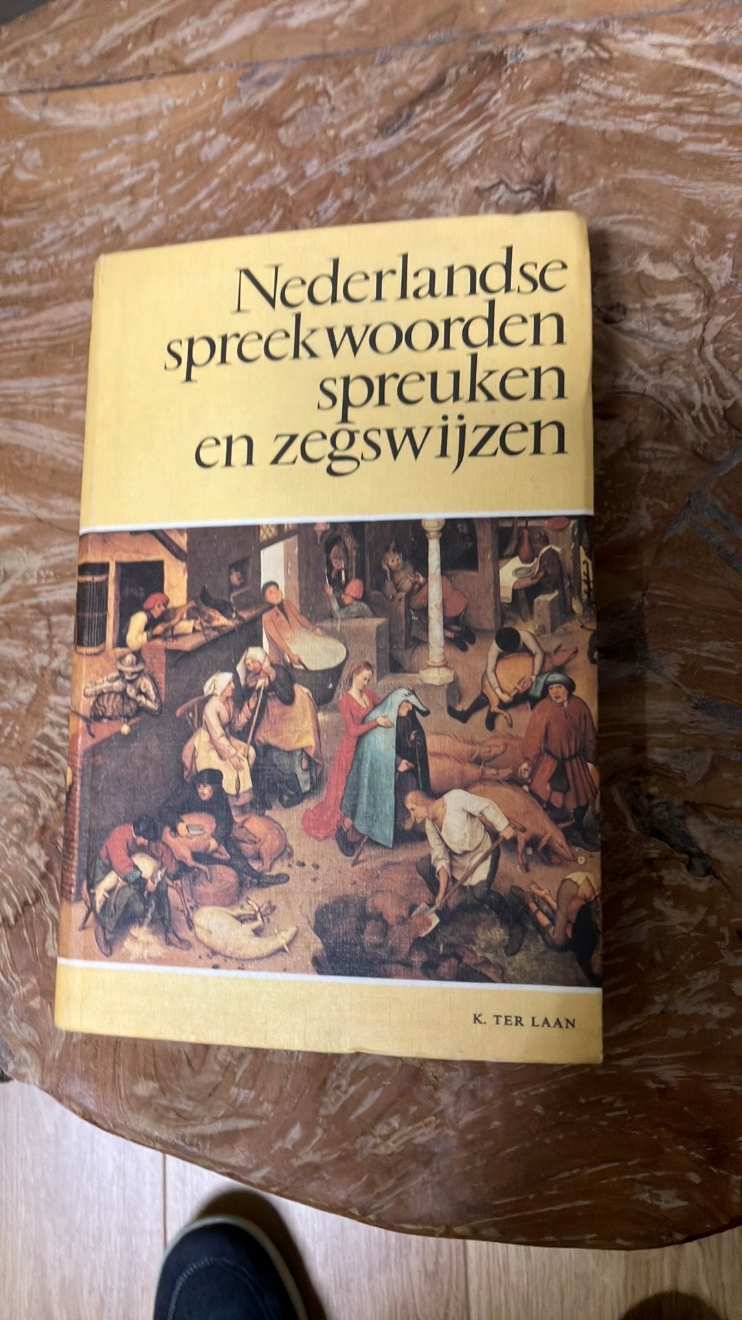 Nederlandse spreekwoorden, spreuken en zegswijzen, Boeken, Nederlands, Ophalen of Verzenden, Zo goed als nieuw, K. ter Laan