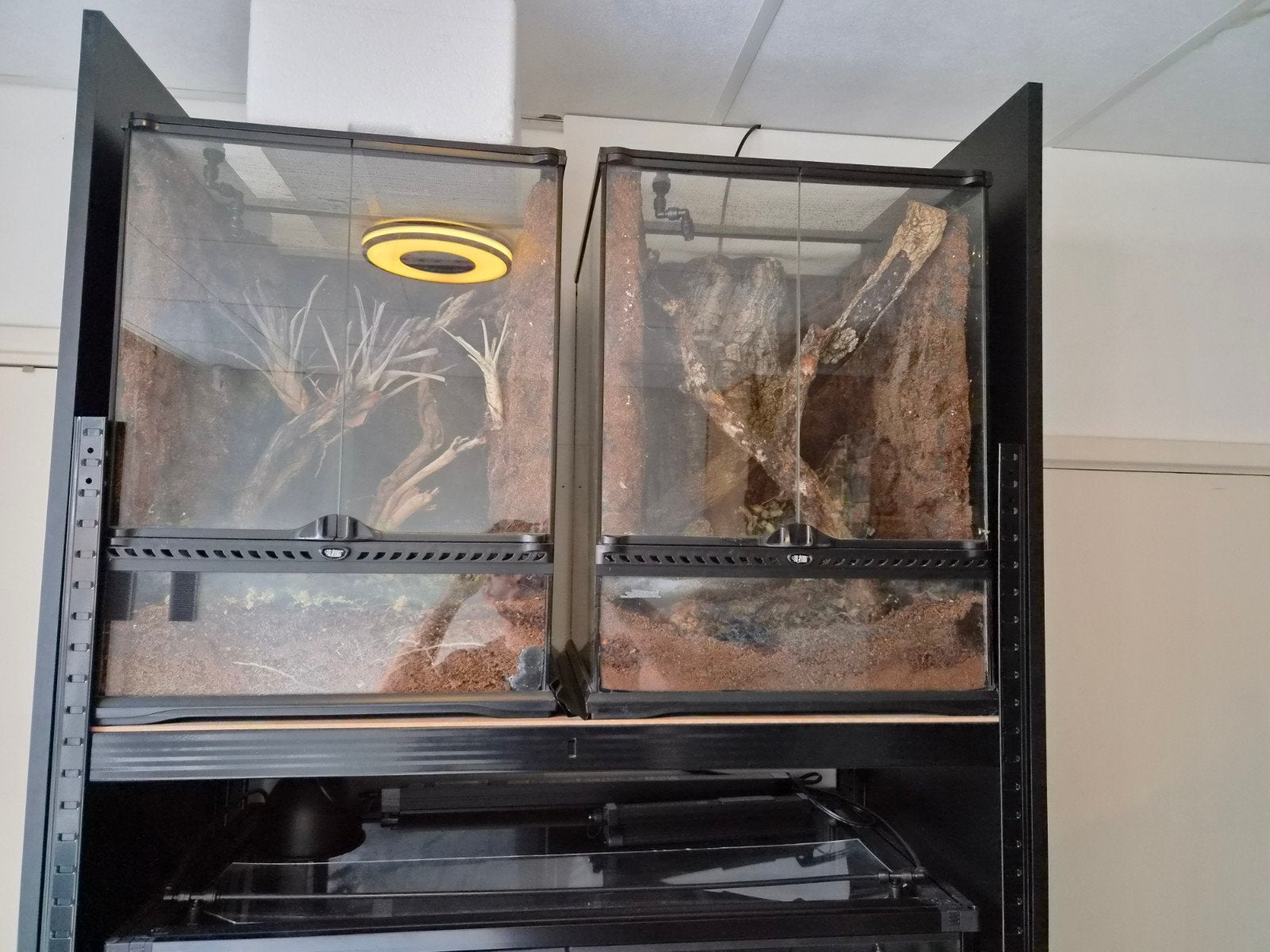 Exo Terra terrarium, Ophalen, Gebruikt, Terrarium of Paludarium