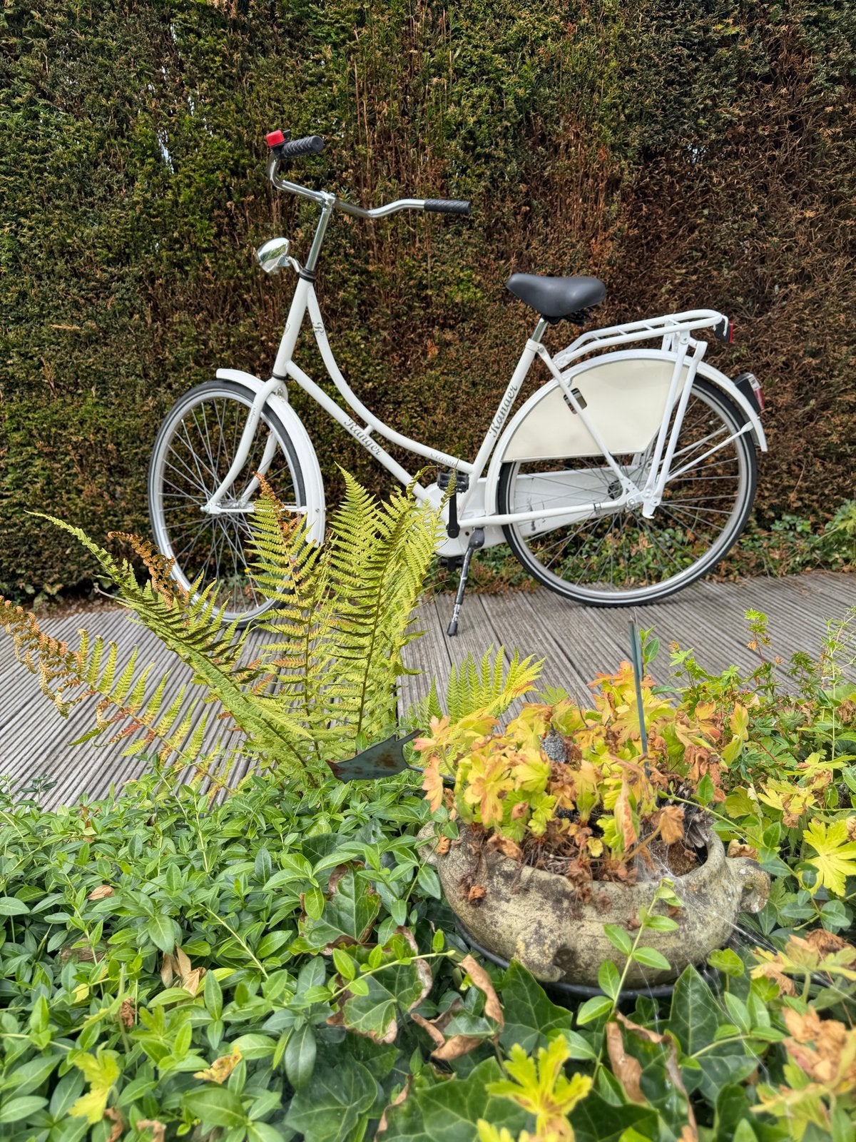 Witte Ranger Classic Damesfiets - Zo goed als nieuw, Fietsen en Brommers, Fietsen | Dames | Damesfietsen, Terugtraprem, (Extra) lage instap