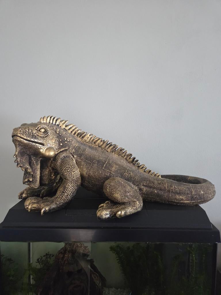 Groot leguaan beeld - 65 cm lang - Decoratief, Ophalen, Meerkleurig, Overige materialen, Overige stijlen
