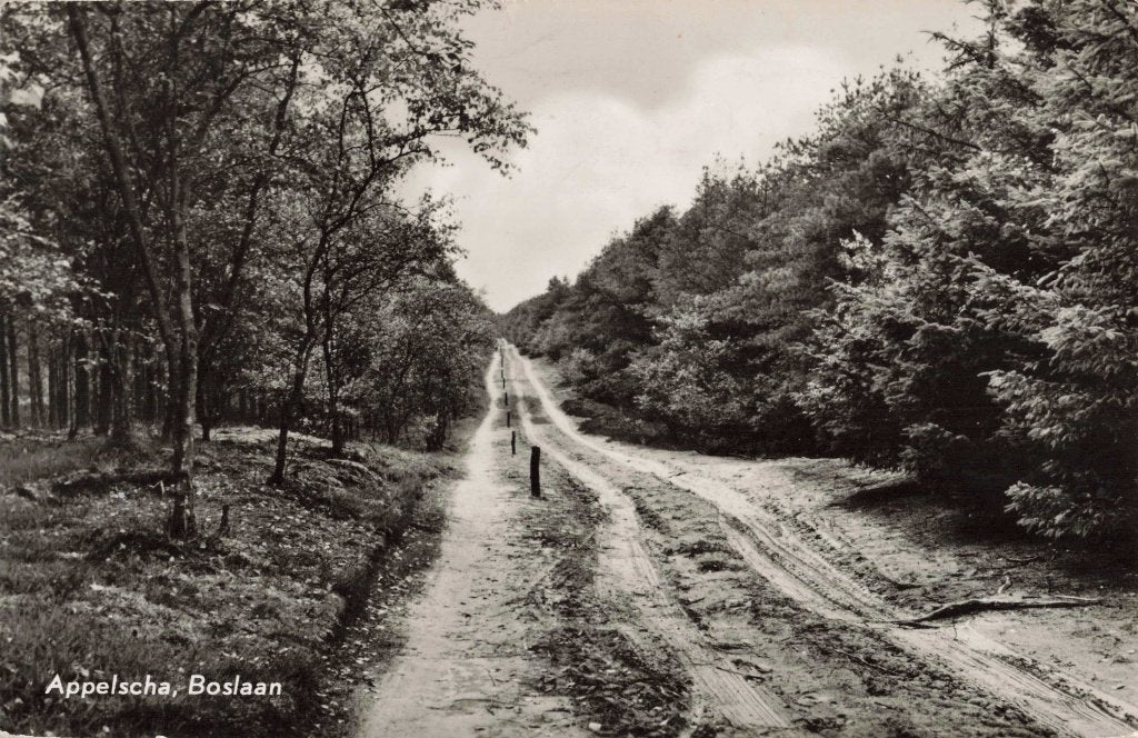 Appelscha Boslaan L3054, Ophalen, 1960 tot 1980, Gelopen, Friesland