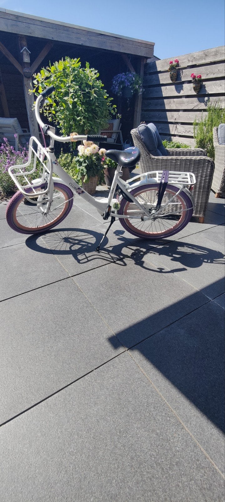 Alpina Clubb 22 inch, Fietsen en Brommers, Fietsen | Meisjes, Ophalen, Gebruikt, 22 inch