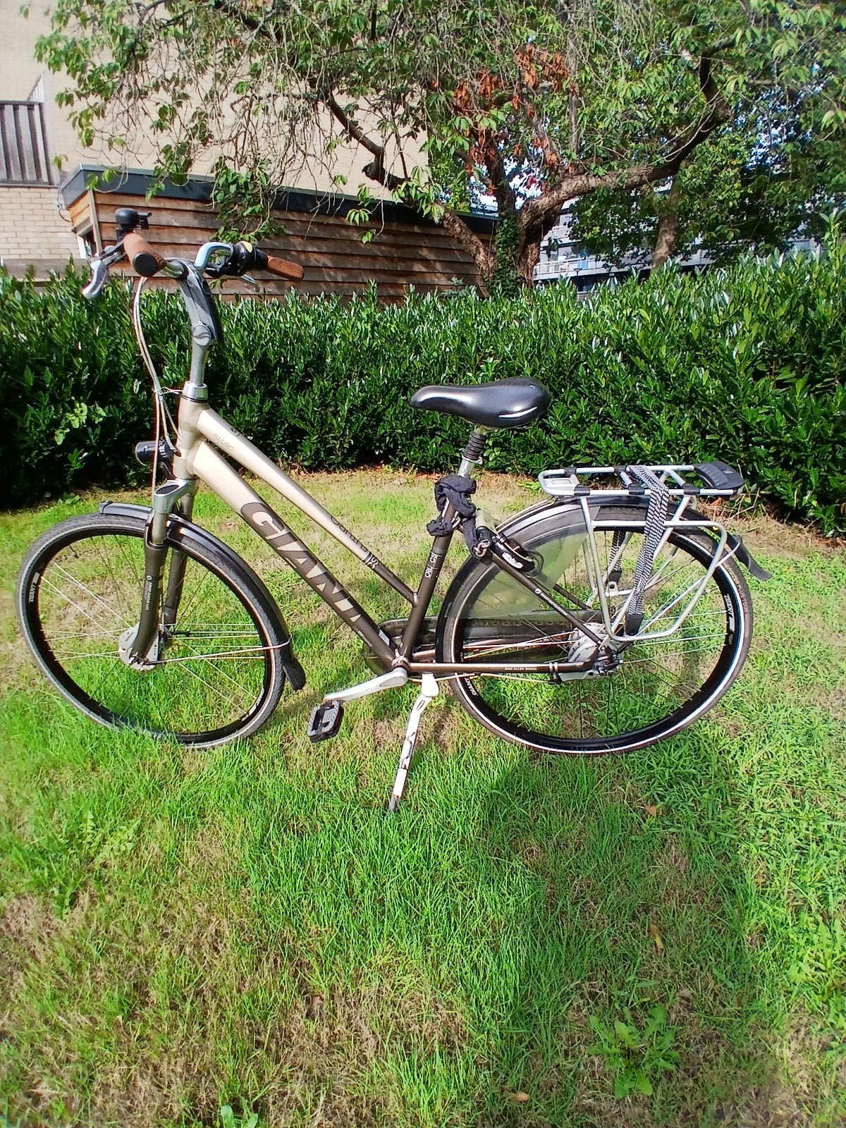 Giant Futuro Dames/ meisjesfiets, Fietsen en Brommers, (Extra) lage instap, Zo goed als nieuw, Minder dan 47 cm, Trommelrem