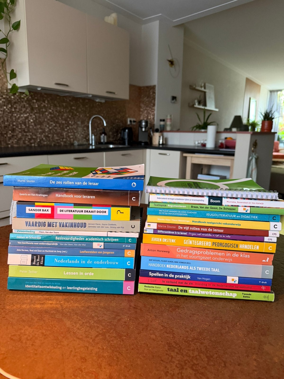 Studieboeken lerarenopleiding Nederlands, Ophalen of Verzenden, Zo goed als nieuw