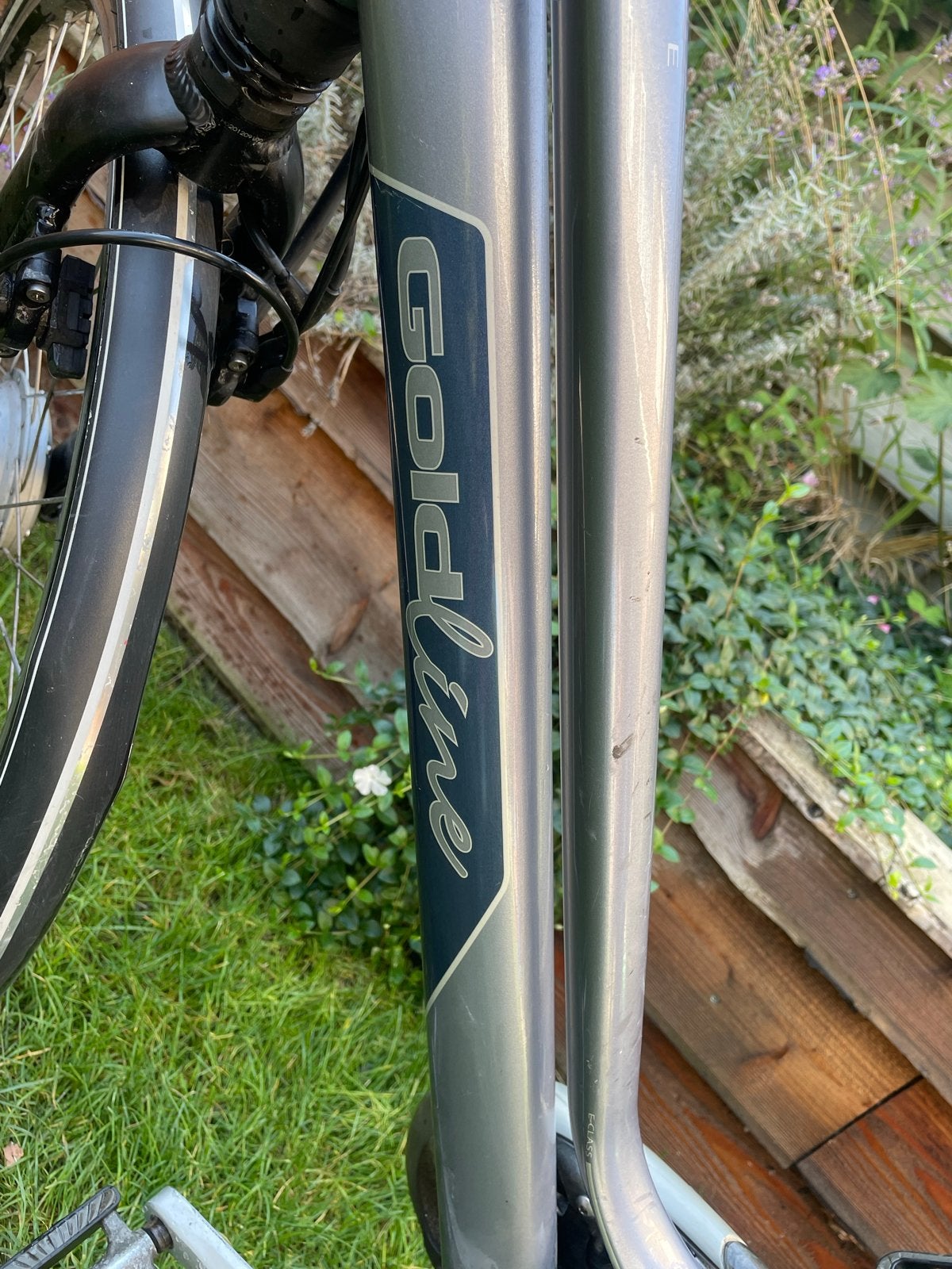 Foto 4 van Gazelle Gold Line elektrische fiets