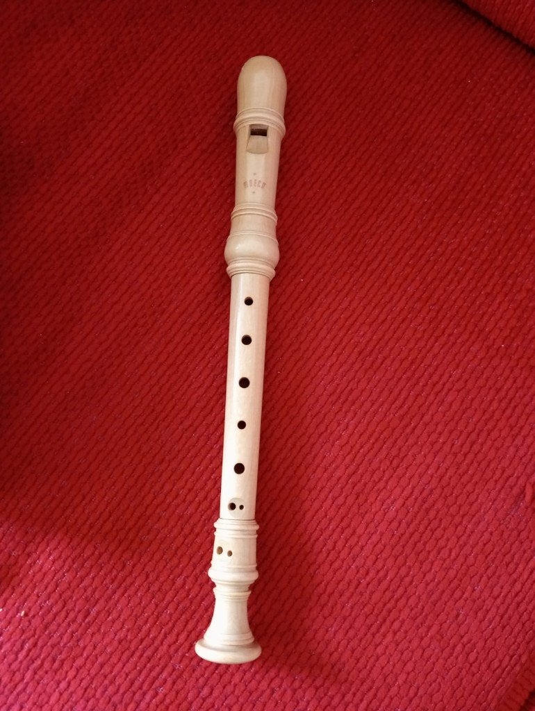 blokfluit (sopraan), Muziek en Instrumenten, Ophalen of Verzenden, Gebruikt, Sopraan of Sopranino, Met koffer, hoes of etui