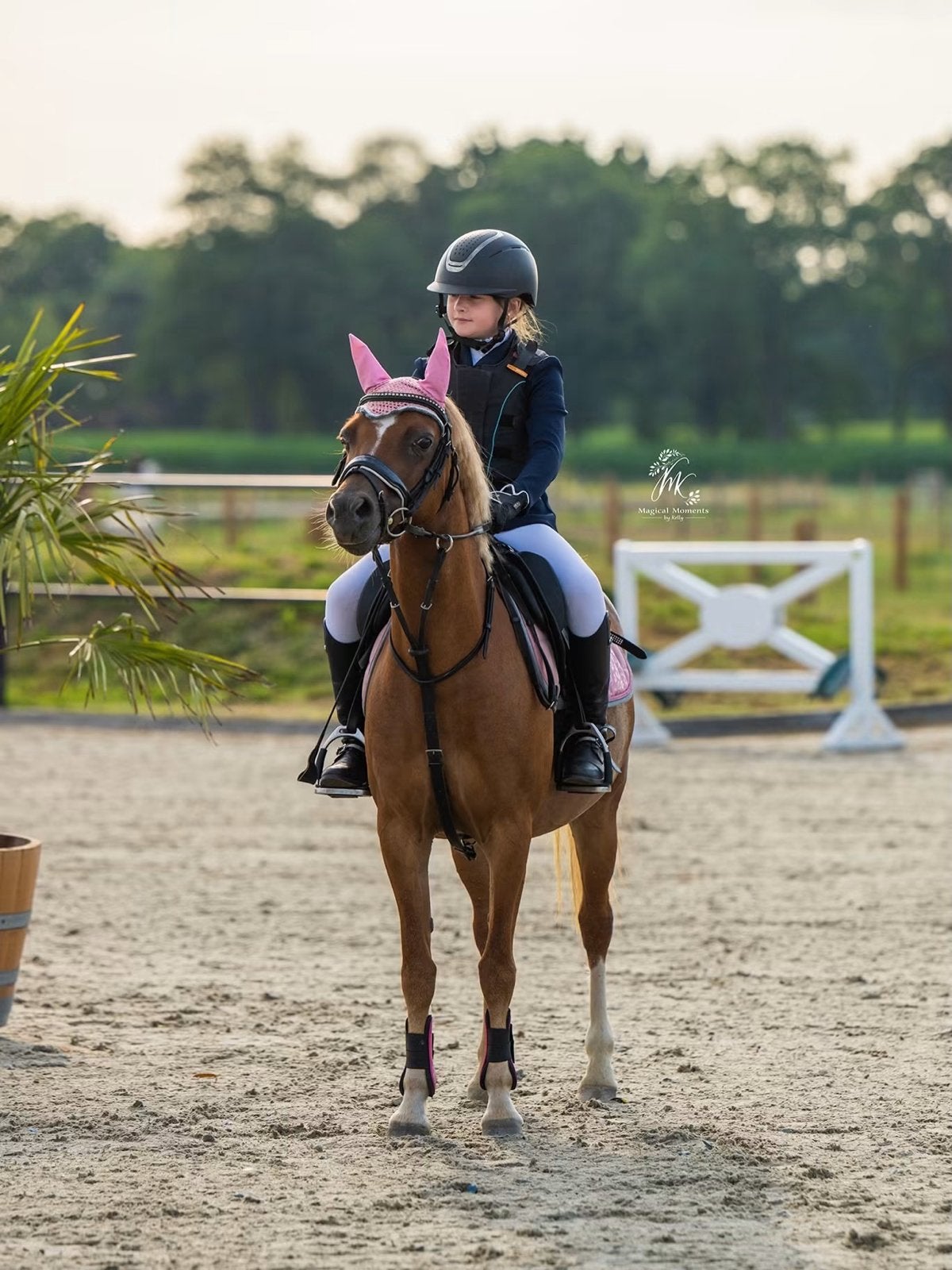 Te koop lieve B pony, Merrie, 7 tot 10 jaar, B pony (1.17m tot 1.27m), Met stamboom