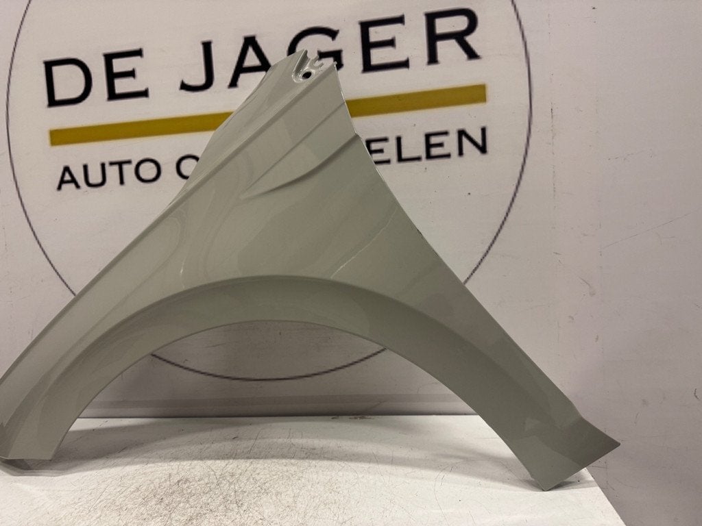 VOLKSWAGEN POLO 2G VOORSCHERM SPATBORD LINKS 2G0821105, Gebruikt, Volkswagen, Volkswagen AG, Voor